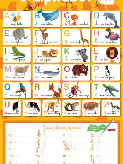 Les posters effaçables - L'alphabet