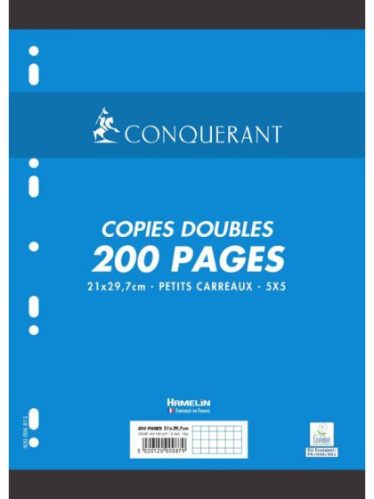 Paquet 200 copies doubles perforées 21×29.7cm grands carreaux (Seyès) 70g