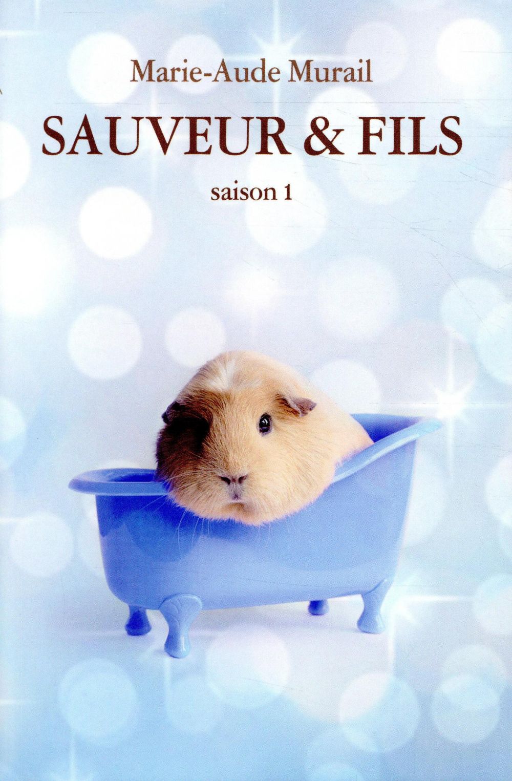 Sauveur et fils: Saison 1