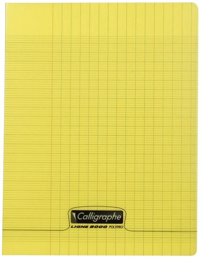 Cahier polypro 17x22cm - 96 pages - Séyès - JAUNE (18124C)